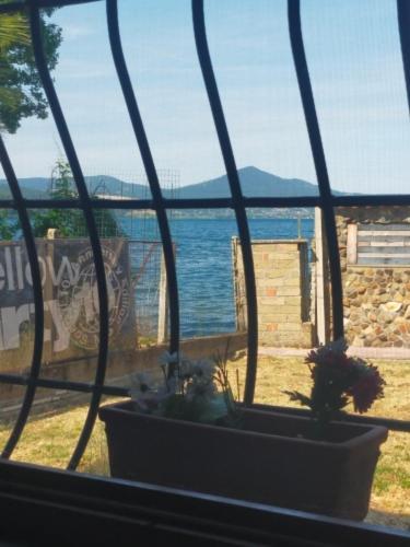 Independent Villa With Private Beach On The Lake Bracciano  Exterior photo
